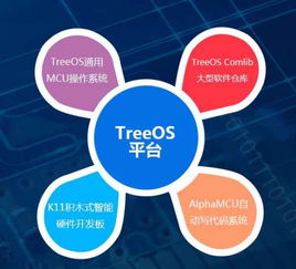 單片機項目開發(fā)