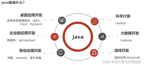 想在互聯(lián)網公司上班,該選擇什么專業(yè)學習入行呢