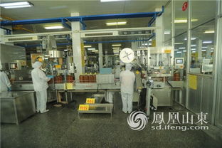 科技與誠(chéng)信成為魯花騰飛發(fā)展的兩只 翅膀